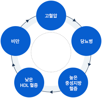 비만으로 연결되는 5가지 증후군 그래프입니다. 고혈압→당뇨병→높은중성지방혈증→낮은HDL혈증→비만